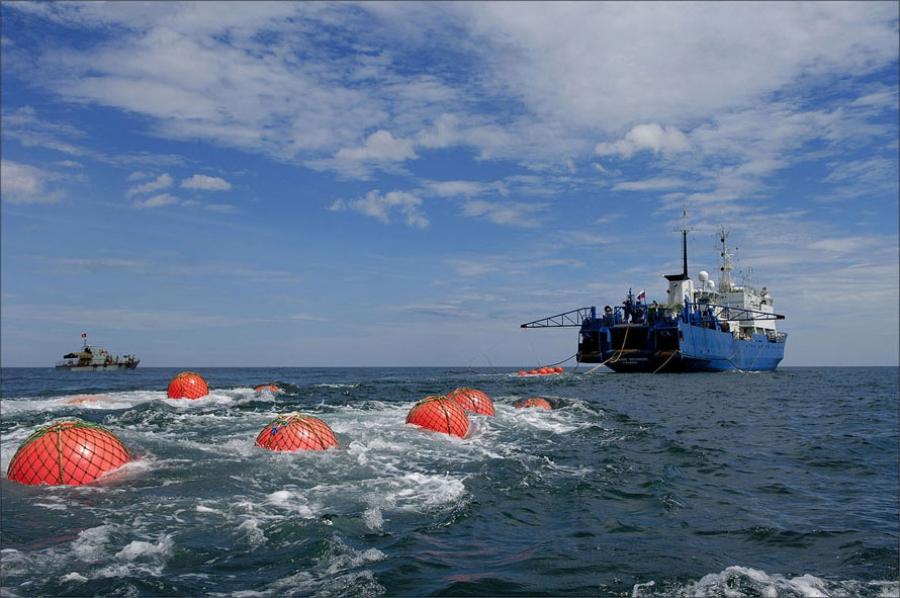 сахком работа для моркови морские професии едік той